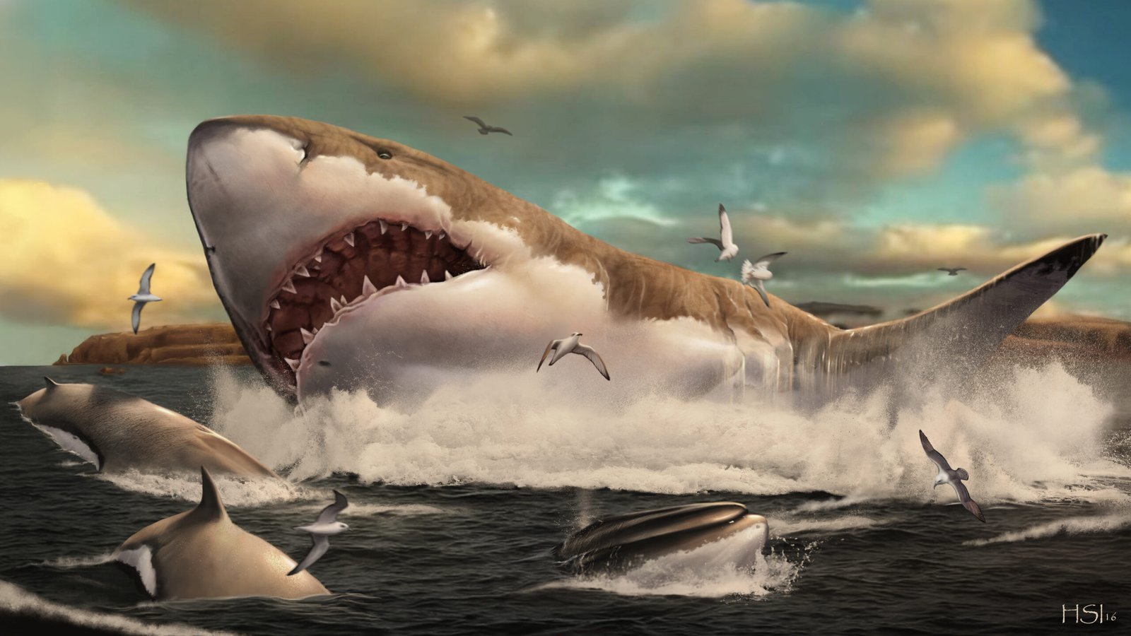 Megalodon: The Giant Shark (image credits: wikimedia)