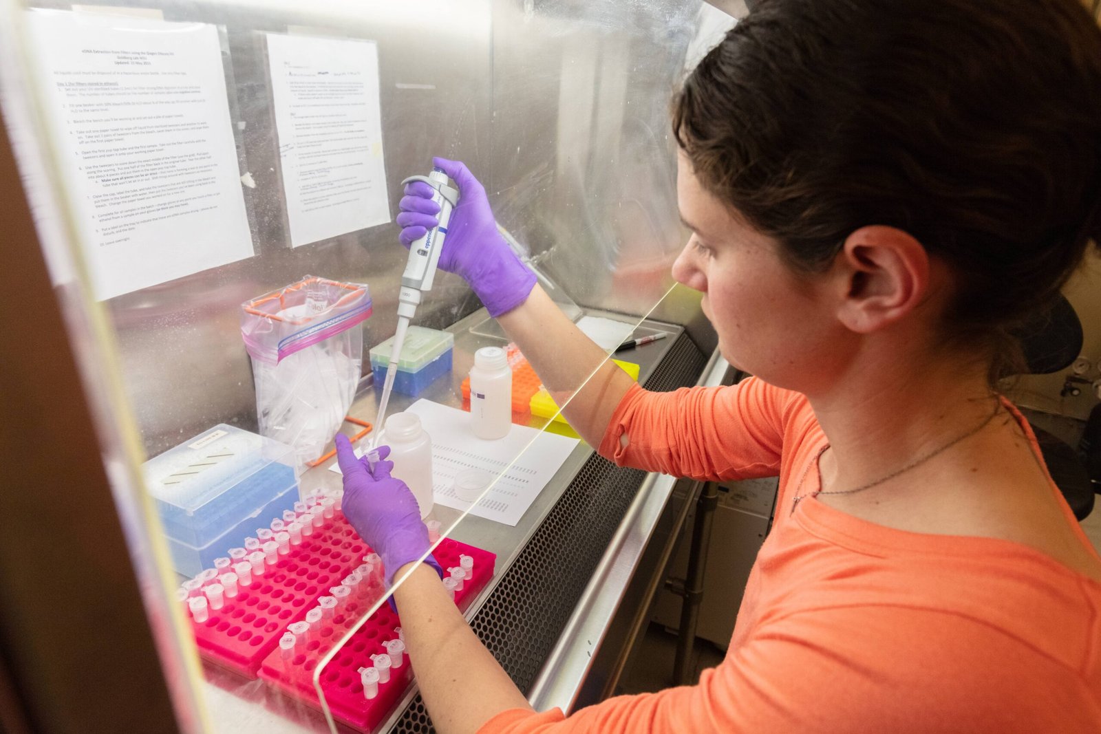 Understanding Jo Cameron's Unique DNA (image credits: wikimedia)