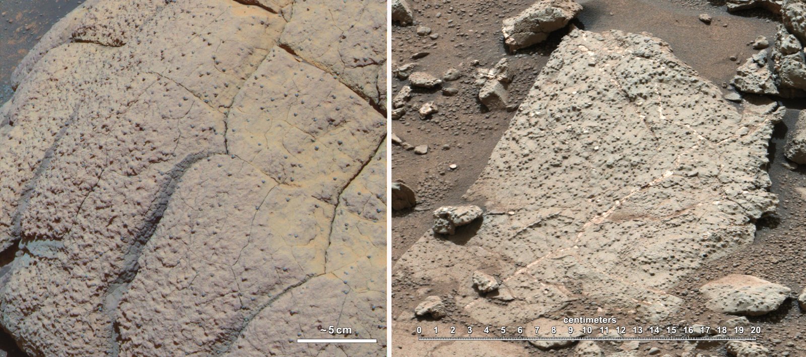 Microbial Life and Rock Batteries (image credits: wikimedia)