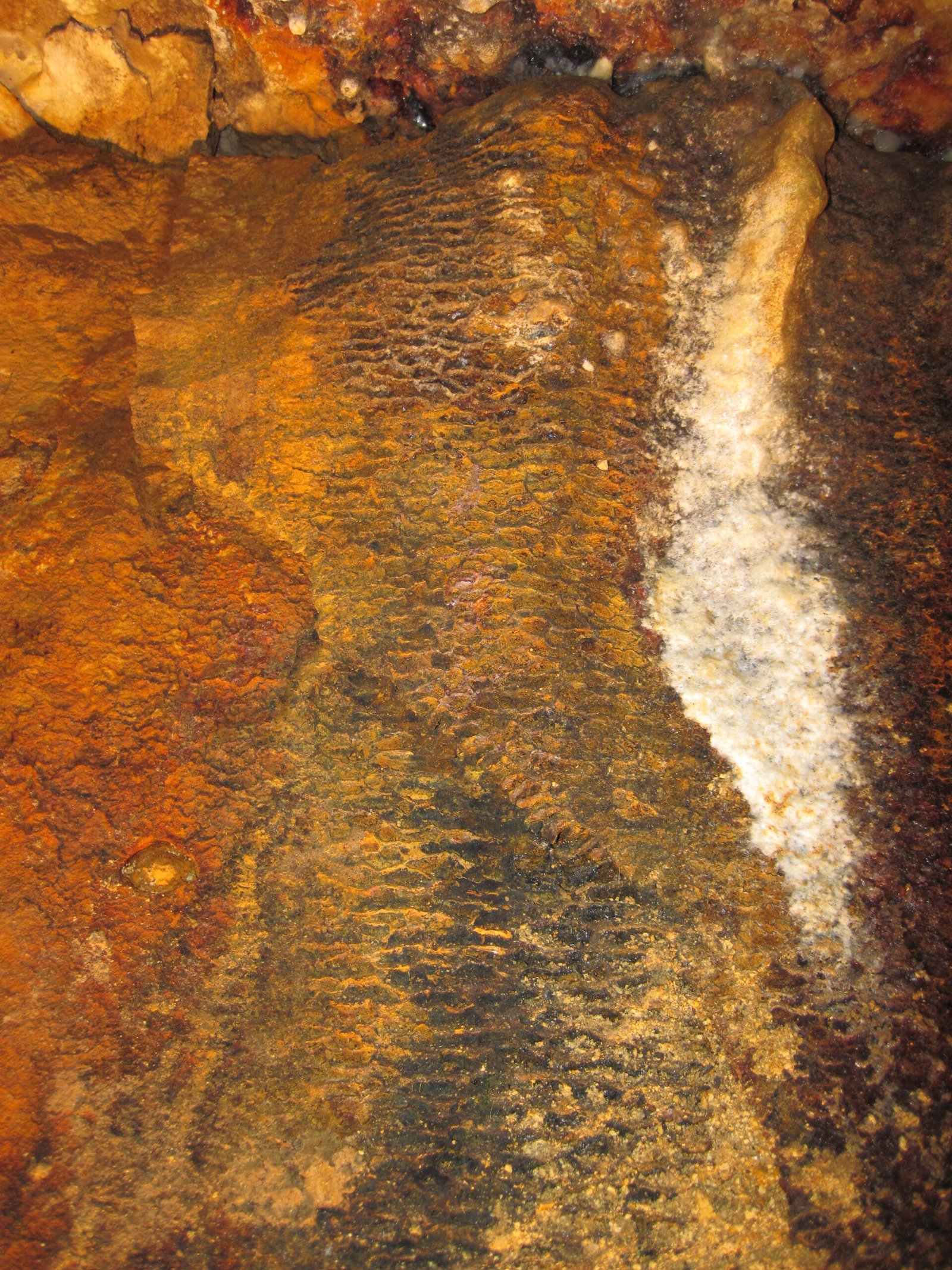 The Role of Iron and Sulfur Compounds (image credits: wikimedia)