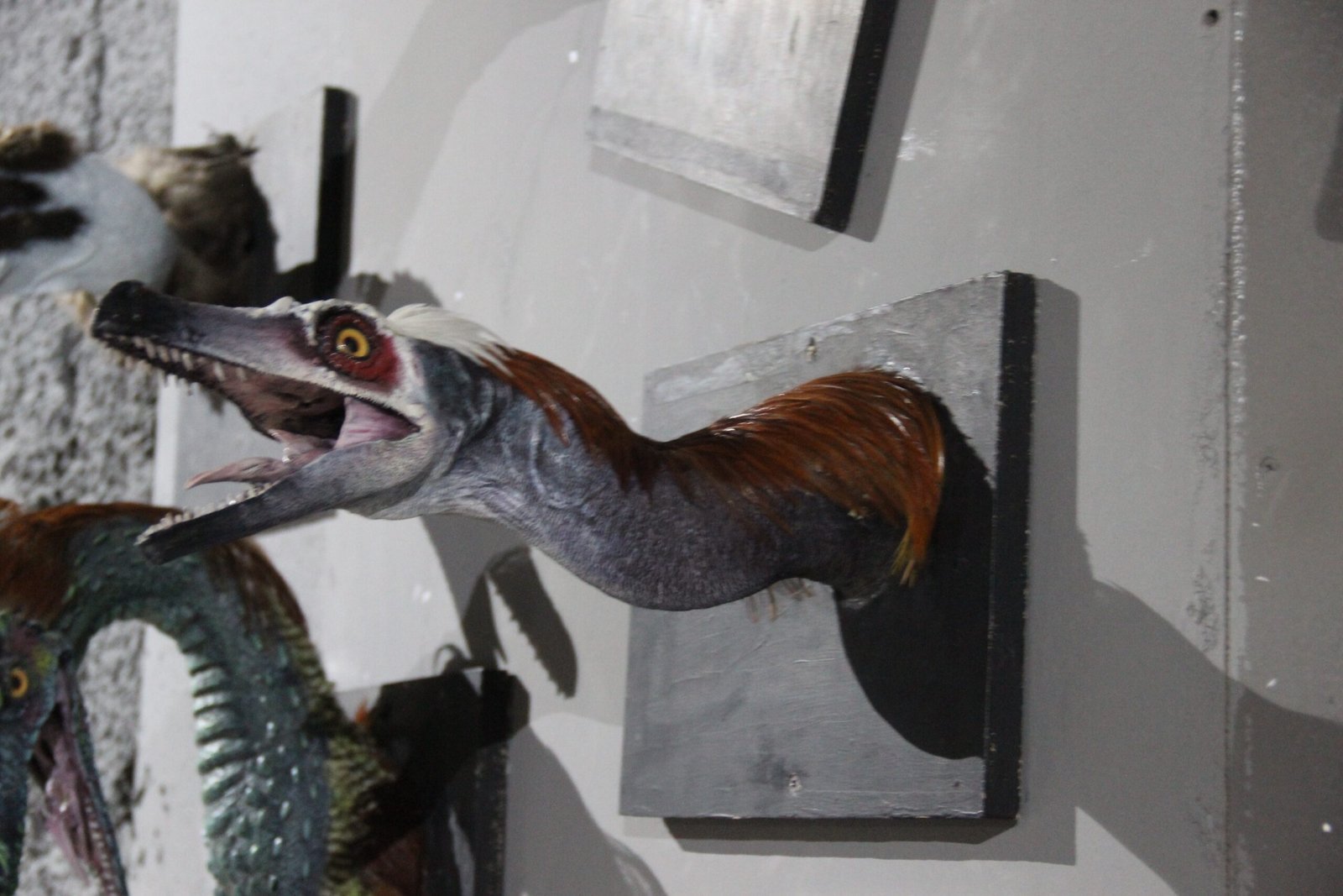 Challenging Conventional Wisdom (image credits: wikimedia)