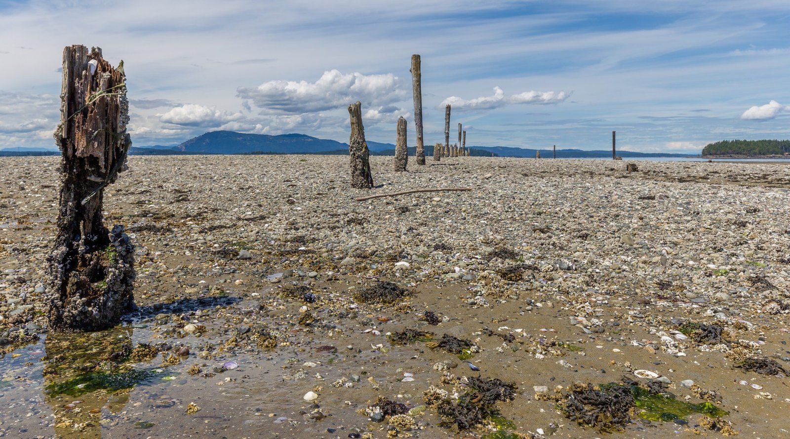 Educational Opportunities Along the Coast (image credits: wikimedia)