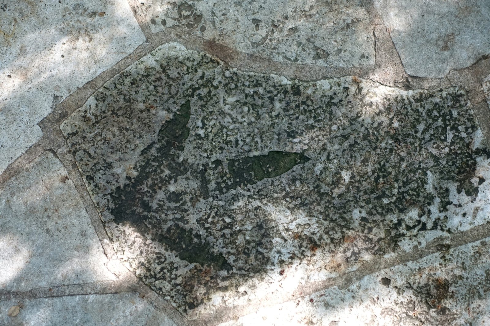 The Connection Between Past and Present (image credits: wikimedia)