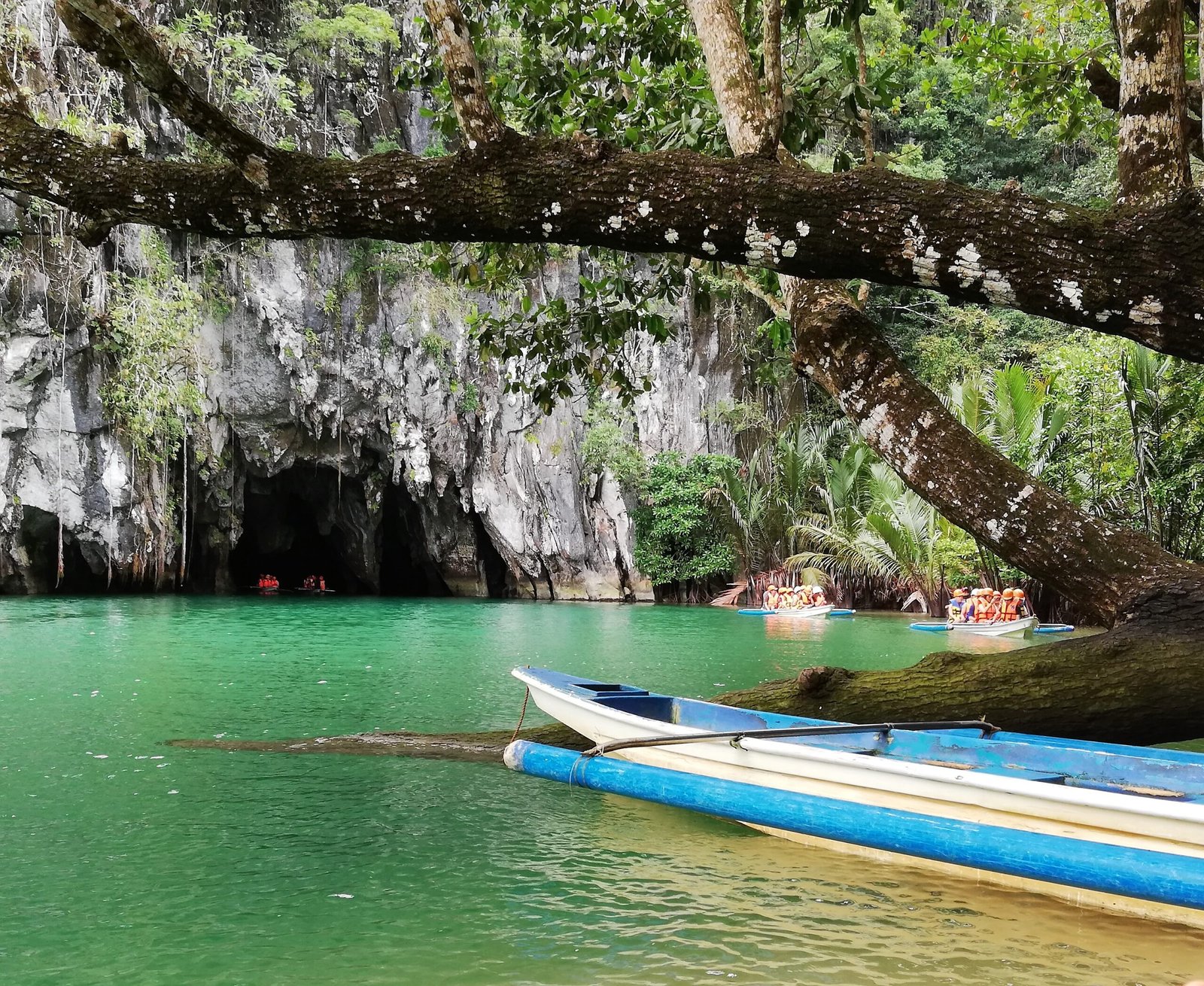 The Secret Life of Rivers: How Underground Streams Shape Entire Ecosystems