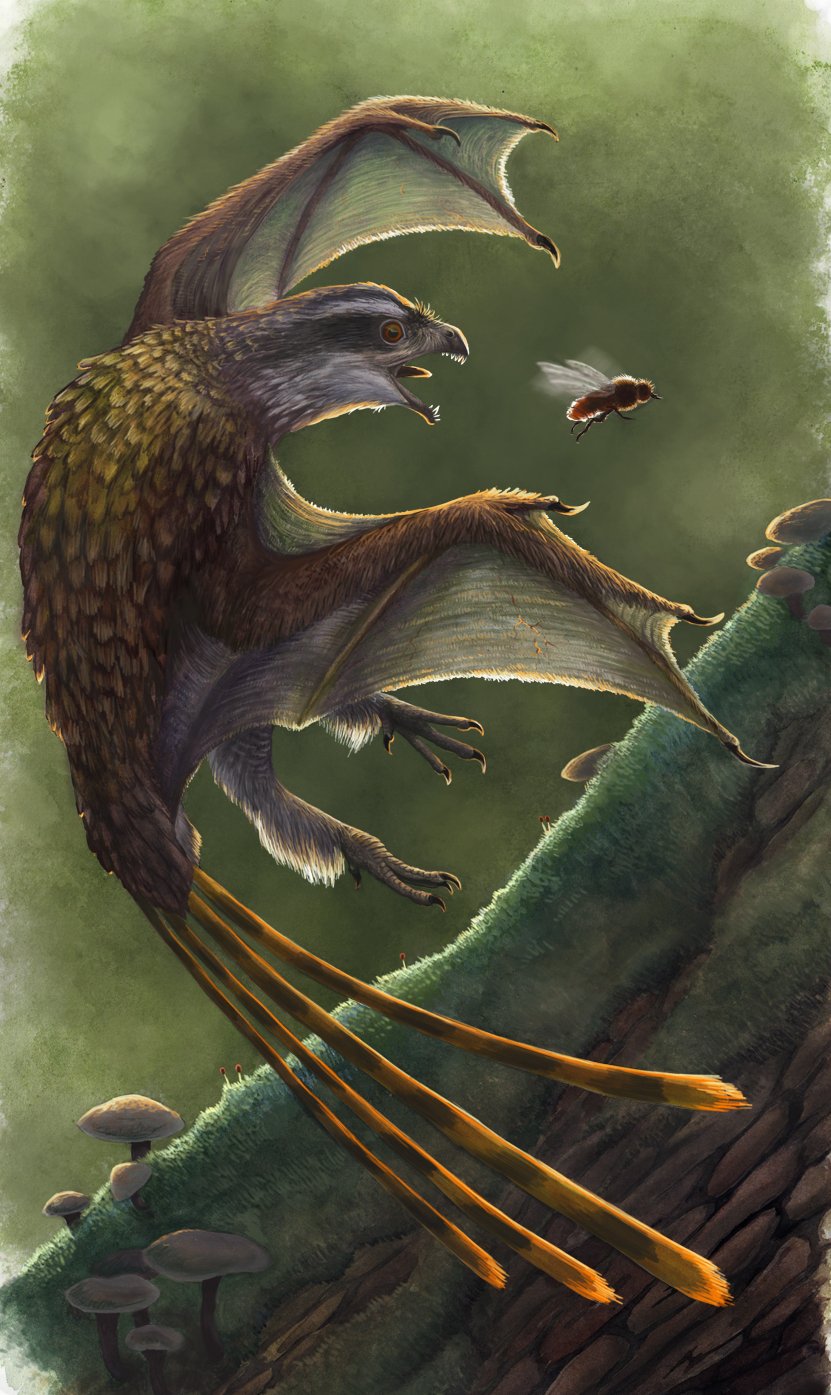 A Look into the Dinosaur's Lifestyle (image credits: wikimedia)