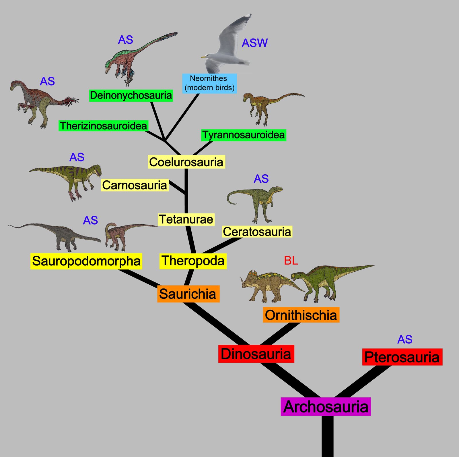 Modern Birds: Living Dinosaurs (image credits: wikimedia)