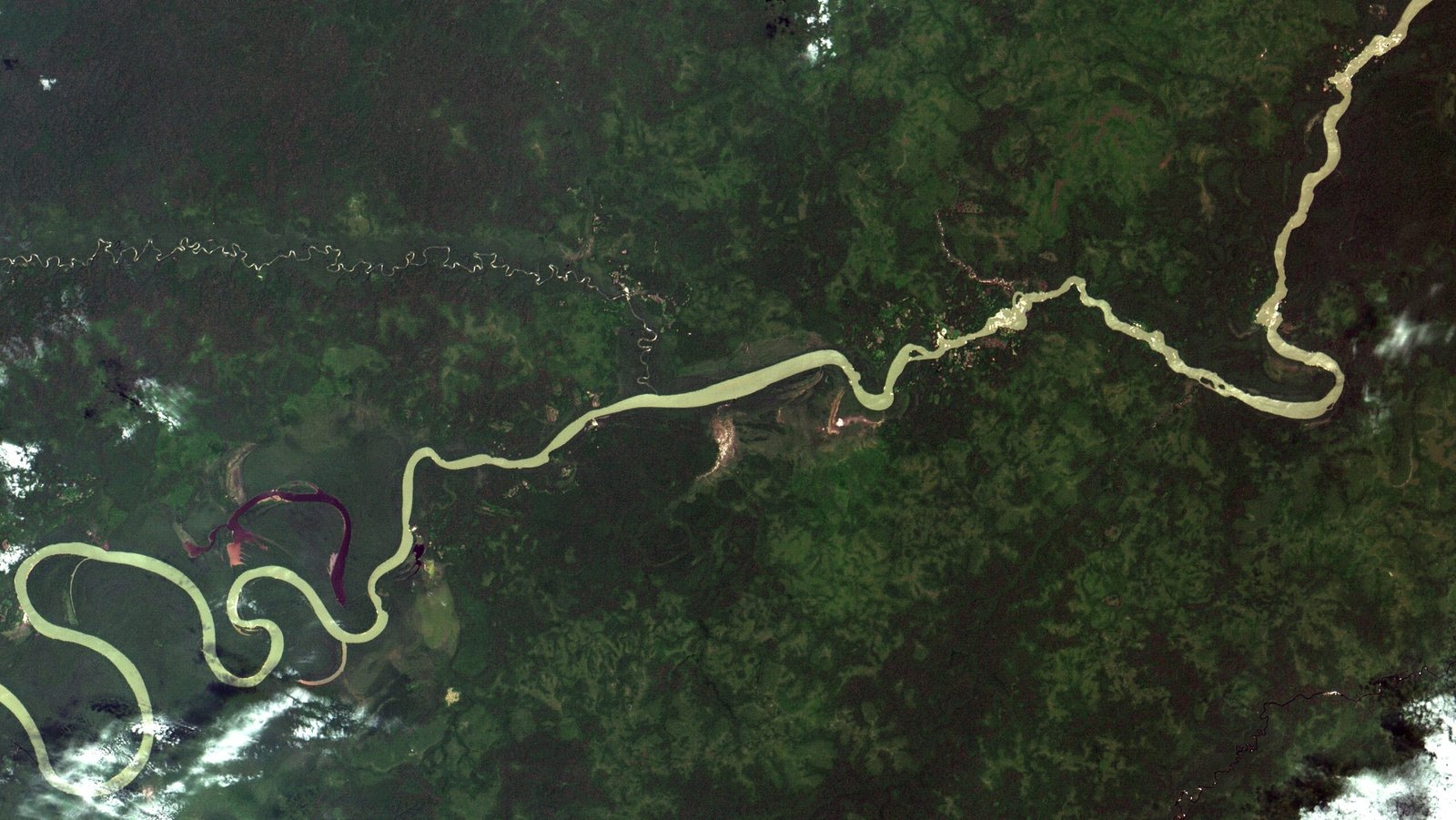 The Indigenous Guardians of the Forest (image credits: wikimedia)