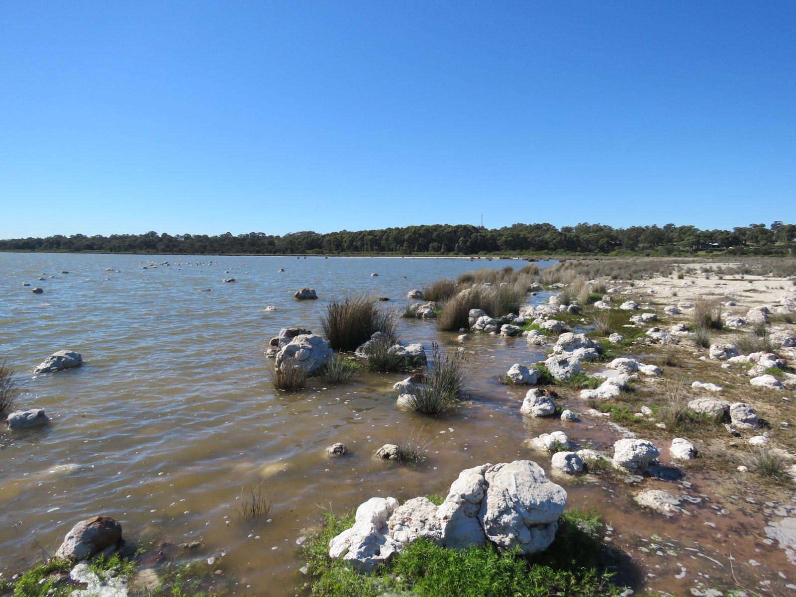 Fossil Lakes: Time Capsules of the Past (image credits: wikimedia)