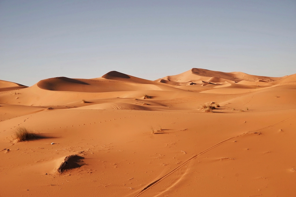 The Future of the Sahara (image credits: rawpixel)