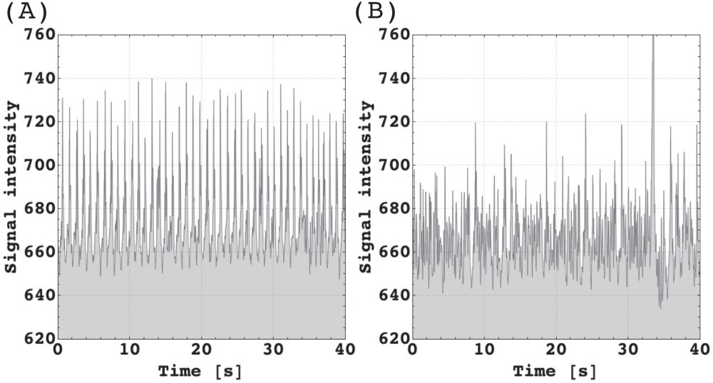 Quantum Tunneling and Biological Processes (image credits: wikimedia)