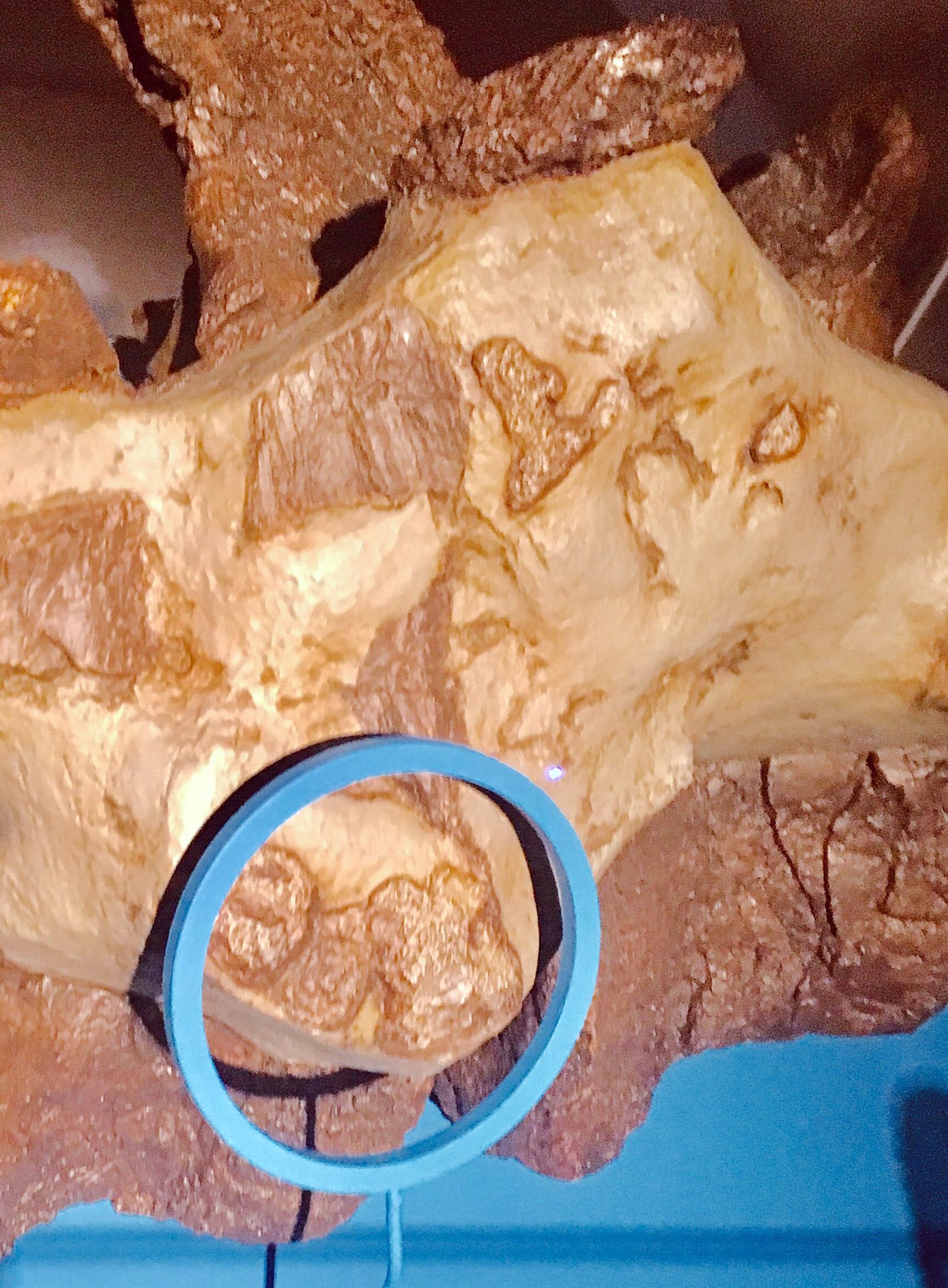 Contributions to Evolutionary Biology (image credits: wikimedia)