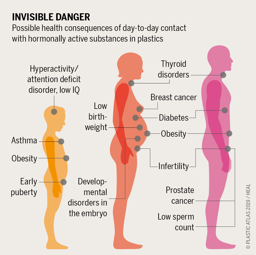 Potential Health Impacts of Microplastics (image credits: wikimedia)