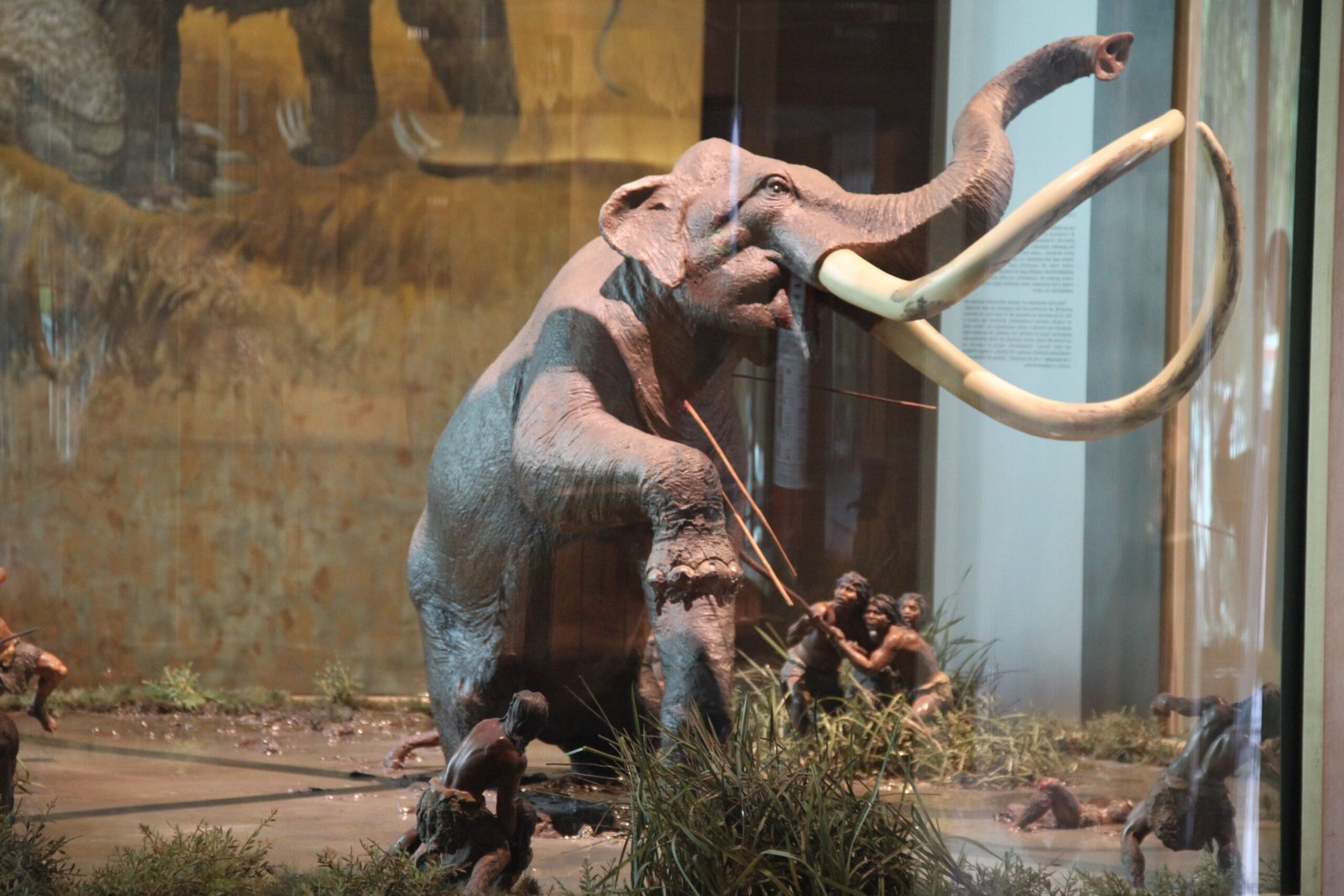 The Land of Giants: Mammoths in Mexico (image credits: wikimedia)