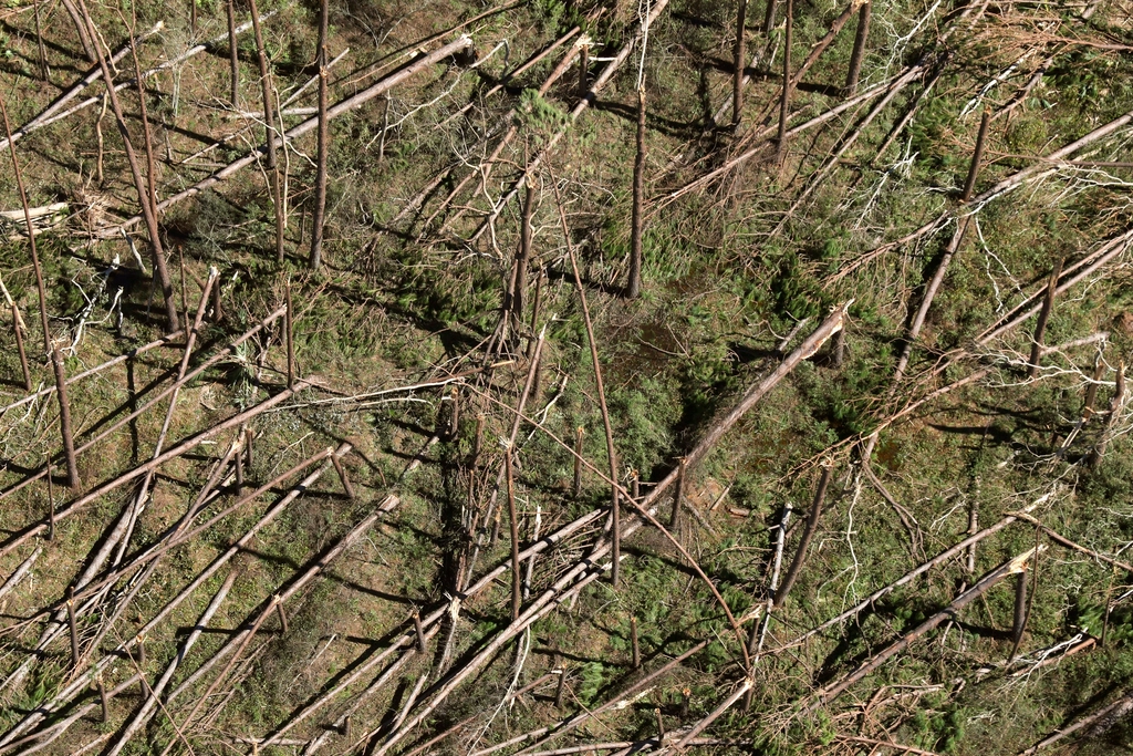 Impact of Climate Change (image credits: rawpixel)