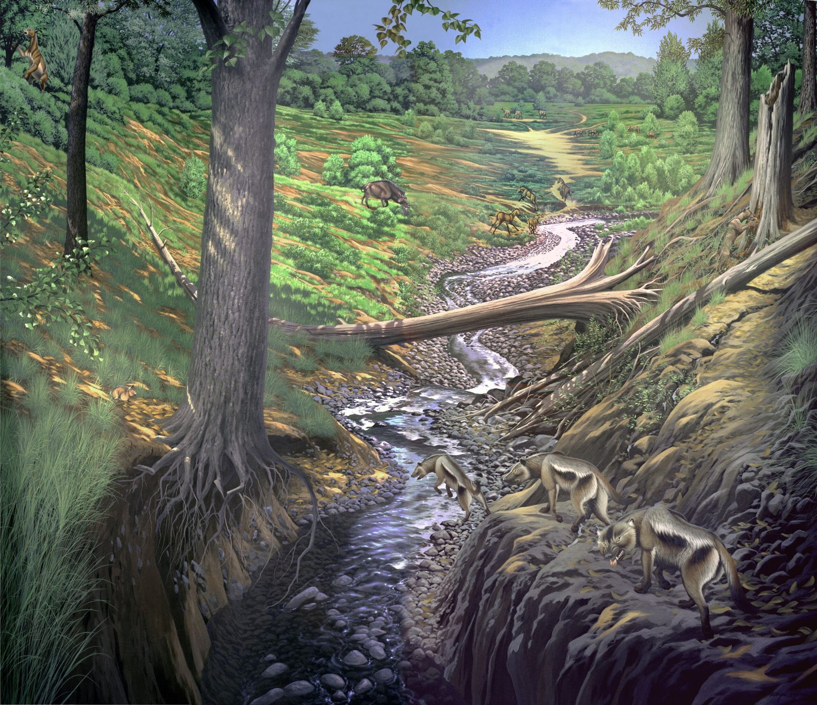 Diet and Feeding Habits (image credits: wikimedia)