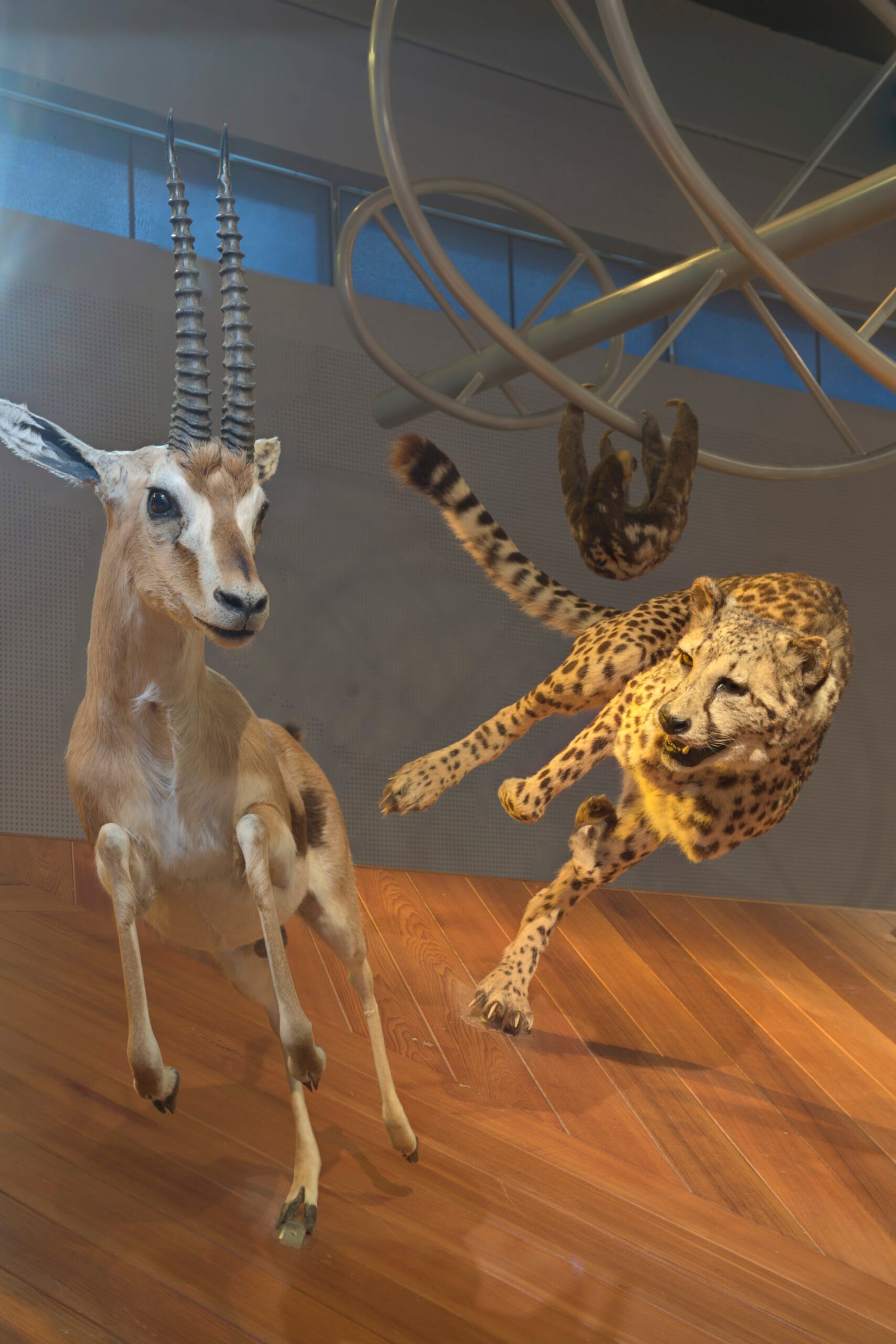 The Role in Ancient Ecosystems (image credits: wikimedia)