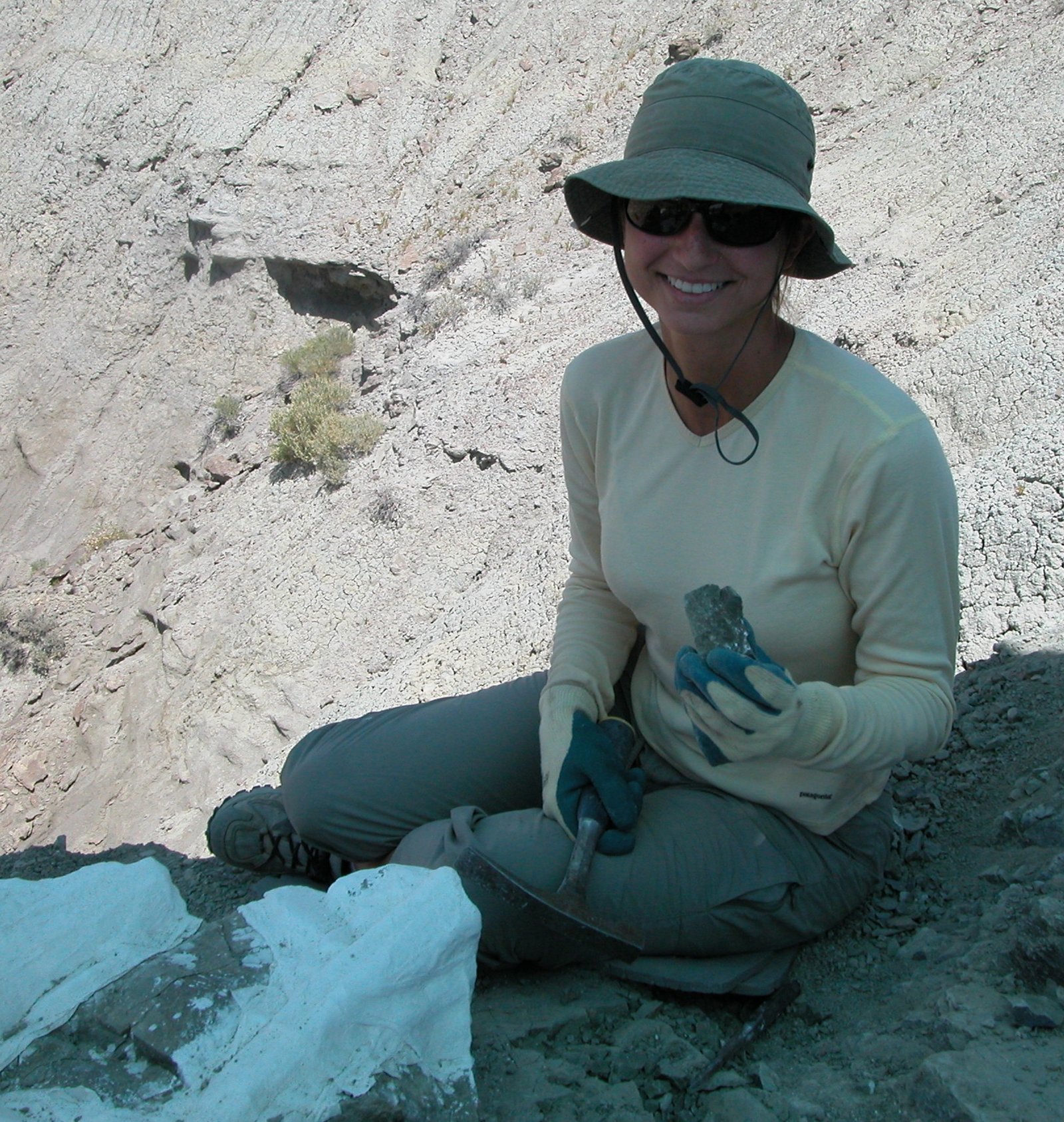 The Role of Paleontologists (image credits: wikimedia)