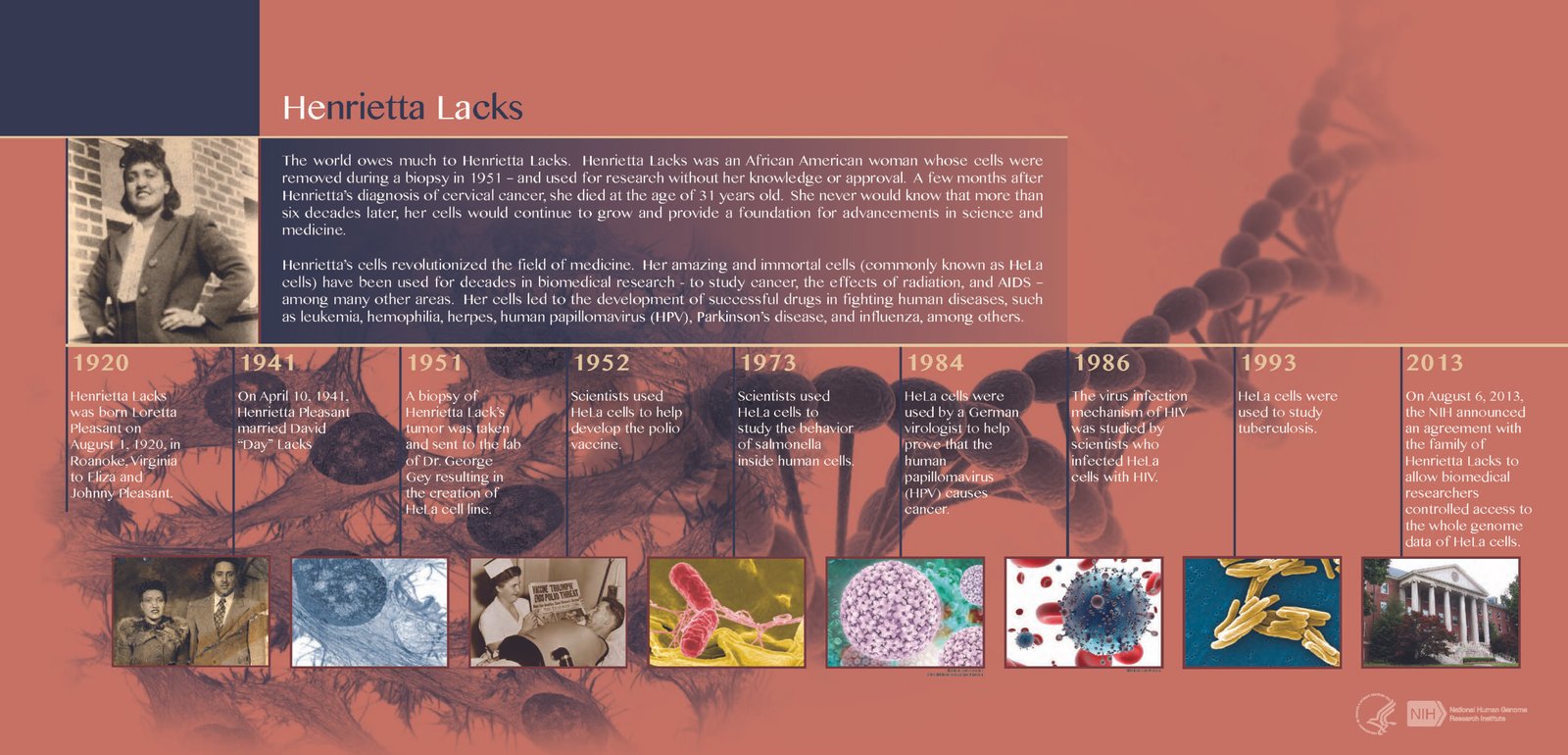 Henrietta Lacks: The Woman Behind HeLa Cells (image credits: wikimedia)