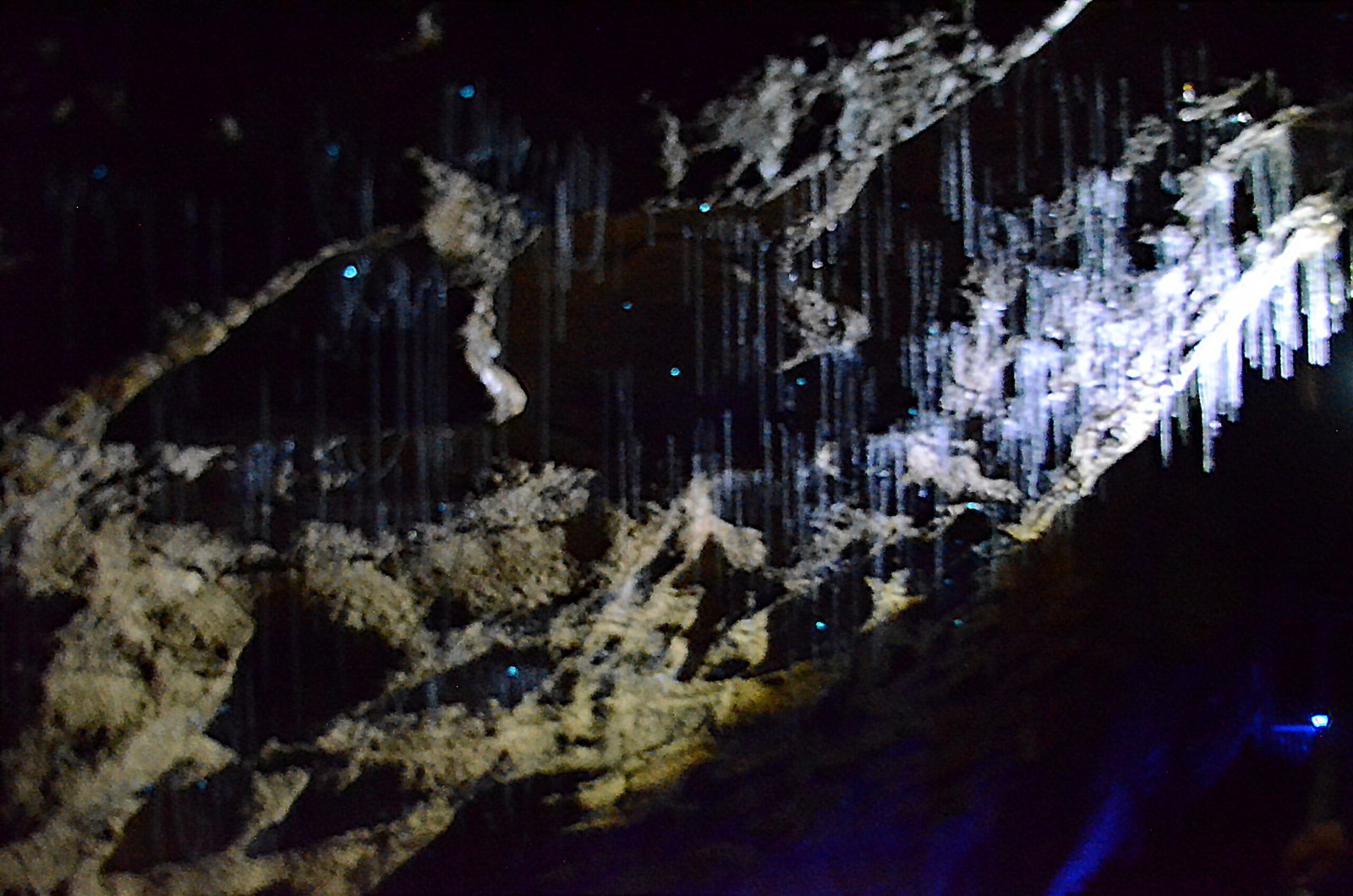 Witnessing the Glow: A Visitor's Experience (image credits: wikimedia)