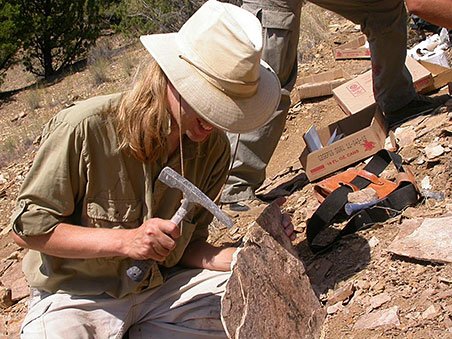 The Role of Paleontologists: Unearthing Ancient Secrets (image credits: wikimedia)