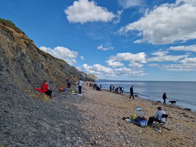 Fossil Hunting: A Journey of Discovery (image credits: wikimedia)