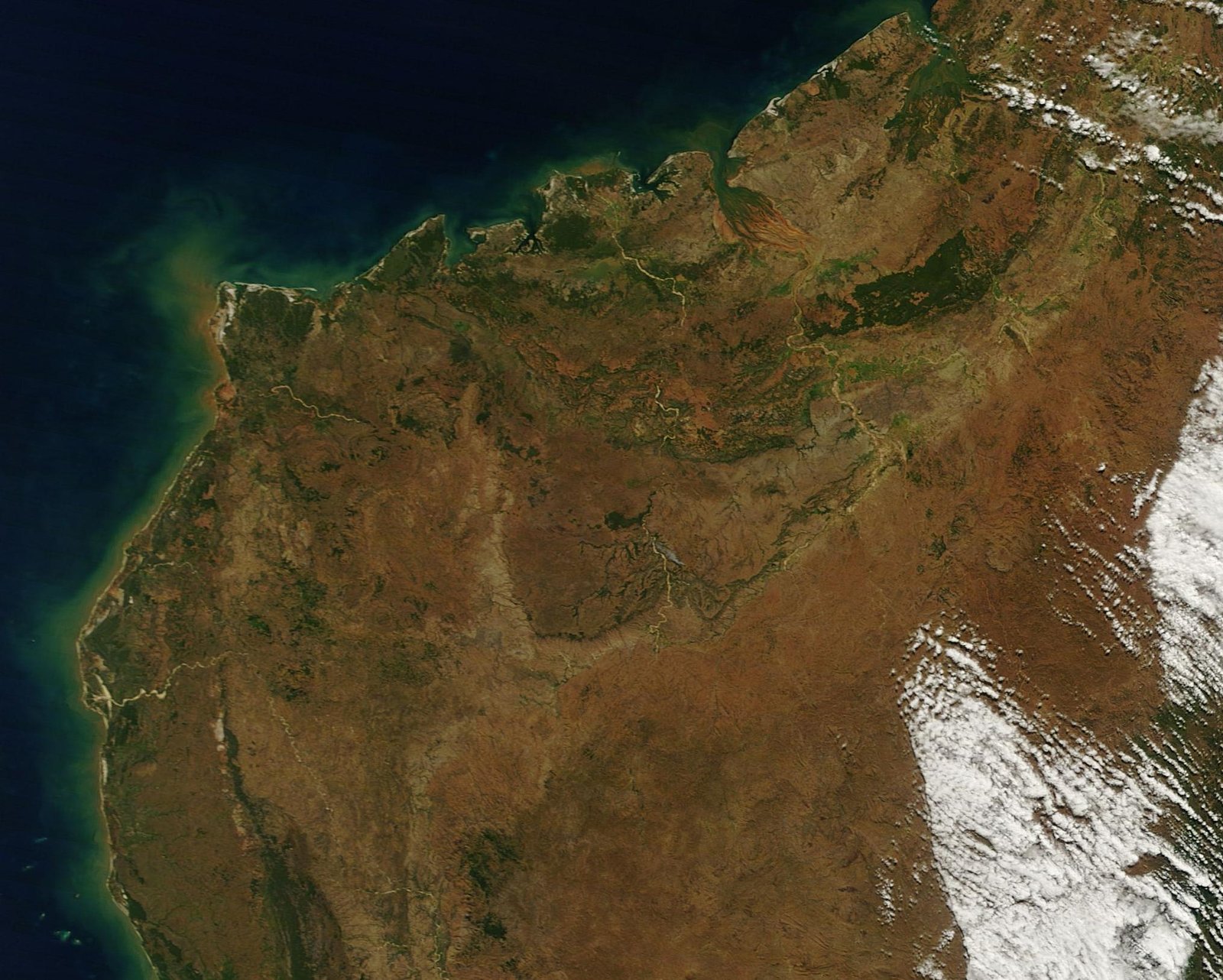 An Unlikely Haven for Biodiversity (image credits: wikimedia)