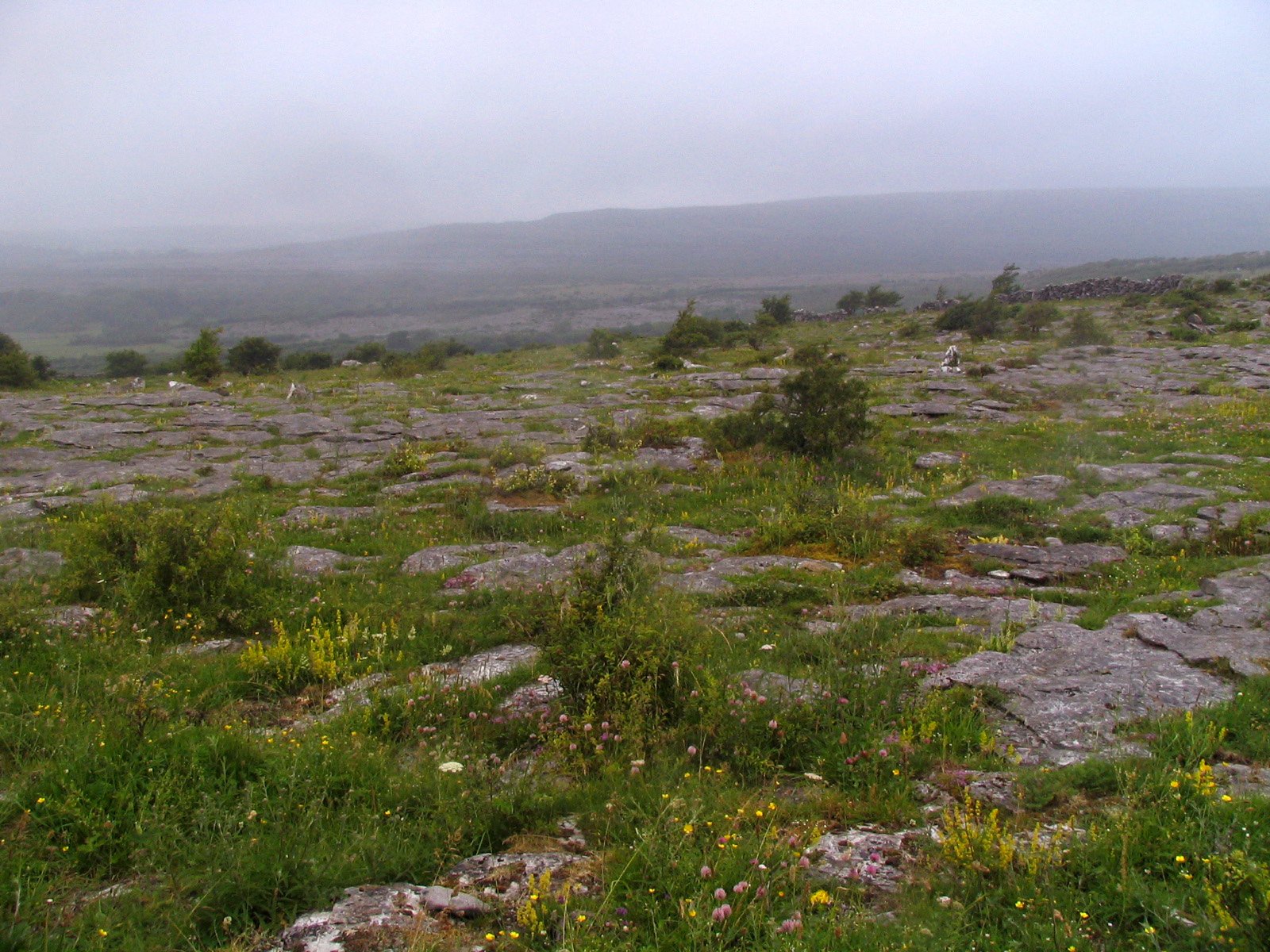 The Burren's Role in Climate Studies (image credits: wikimedia)