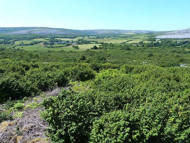 Challenges in Preserving the Burren (image credits: wikimedia)