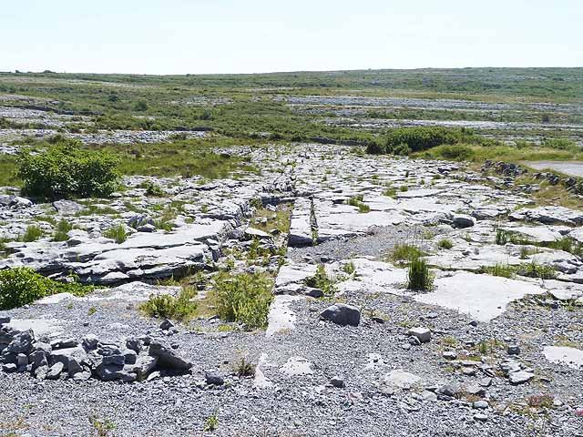 The Future of the Burren (image credits: wikimedia)