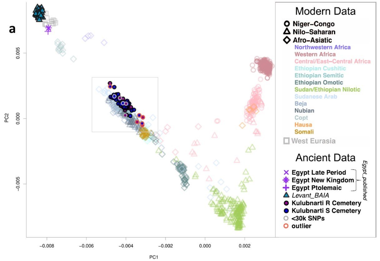 Genetic Insights from Ötzi’s DNA (image credits: wikimedia)