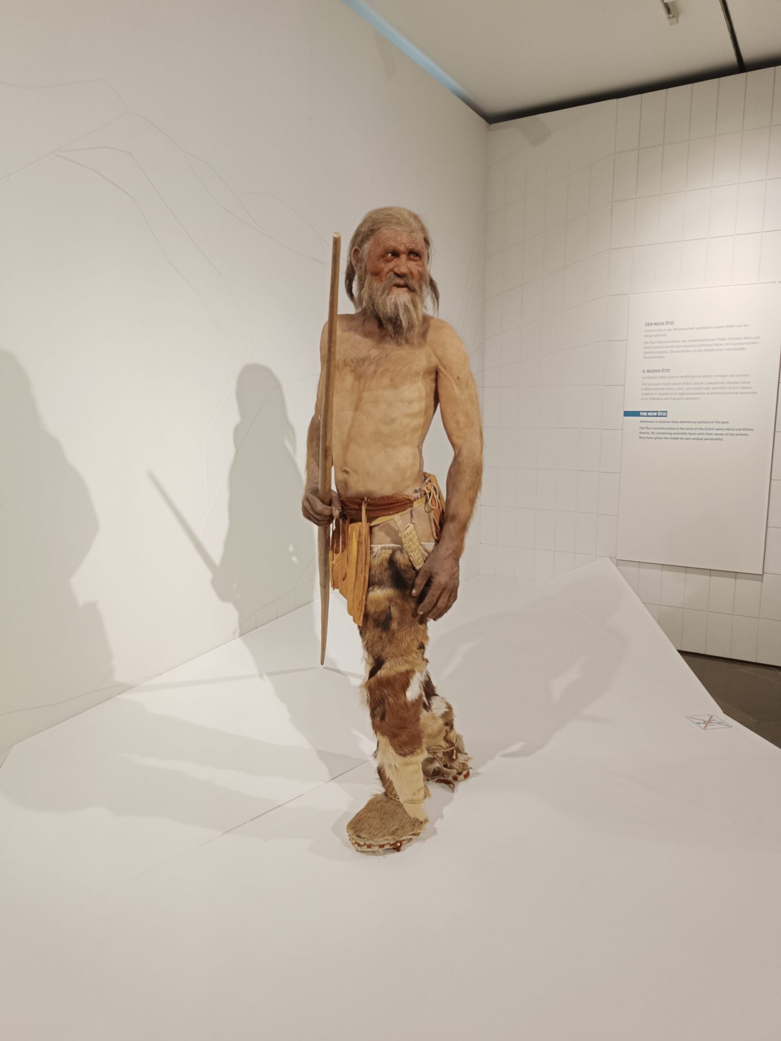 The Legacy of Ötzi the Iceman (image credits: wikimedia)