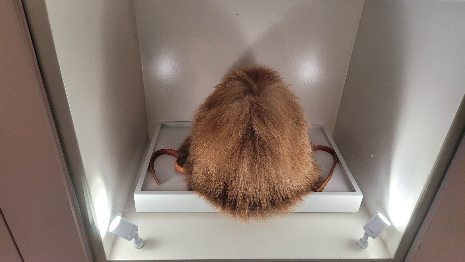 Ötzi’s Impact on Modern Science (image credits: wikimedia)