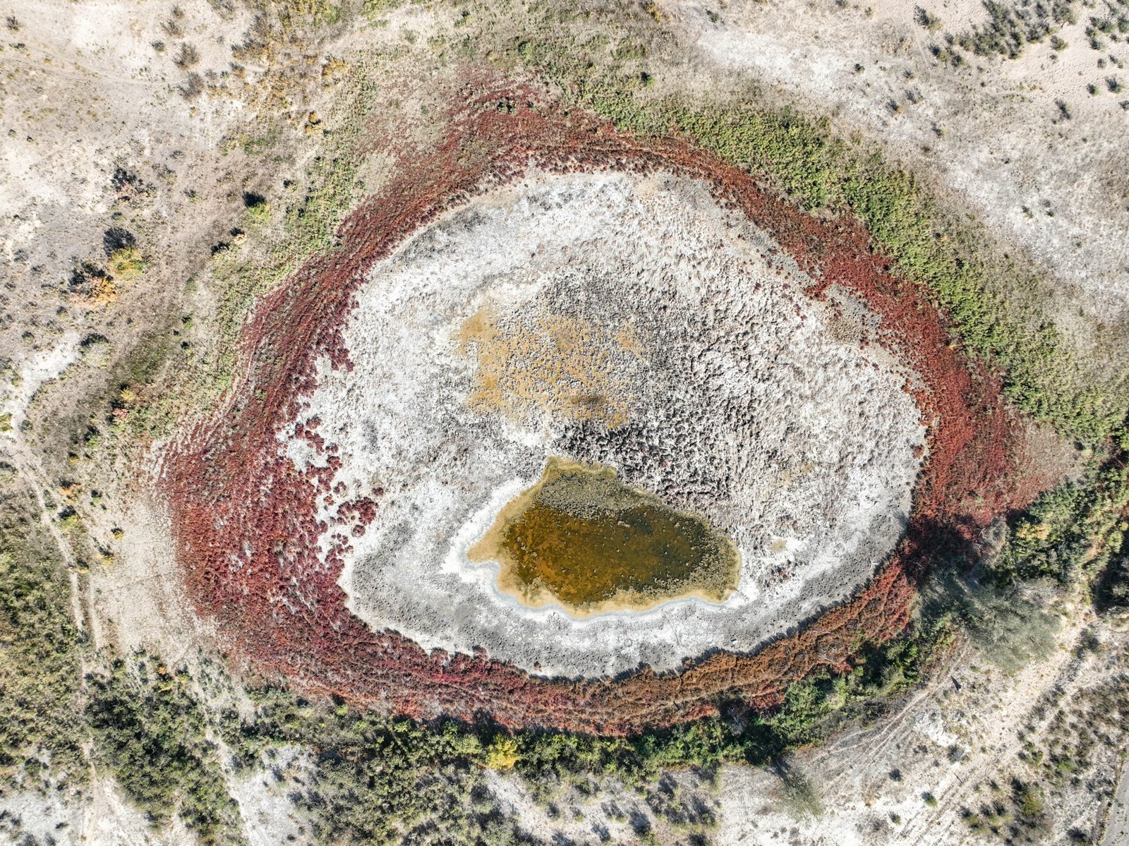 Impacts on Local Communities (image credits: wikimedia)