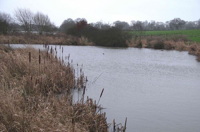 Innovative Solutions and Mitigation Strategies (image credits: wikimedia)