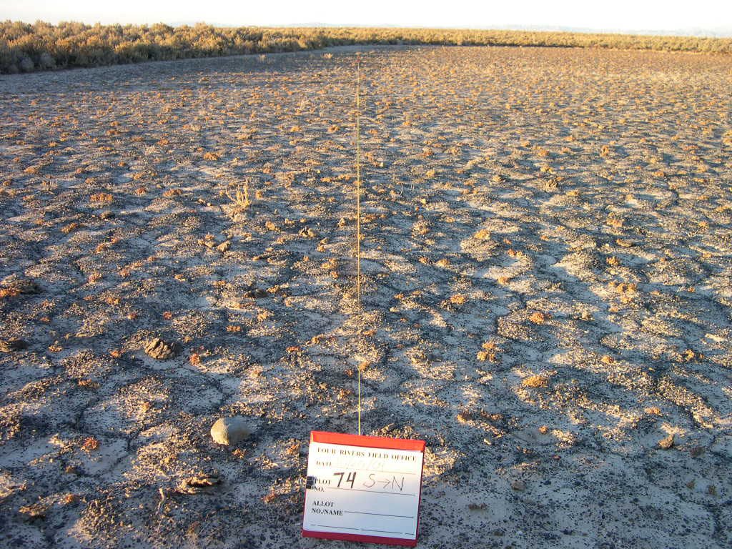 The Role of Technology in Monitoring and Management (image credits: wikimedia)