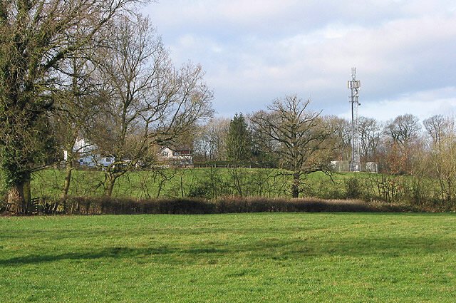 The Future of Forest Communication Research