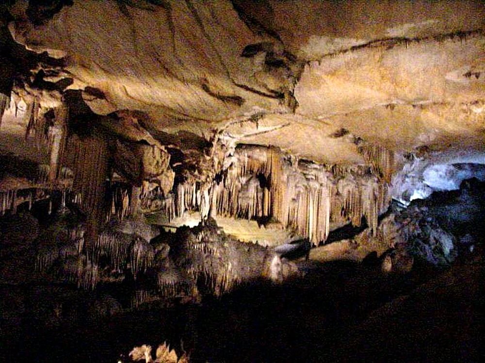 The Discovery of a Lifetime (image credits: wikimedia)
