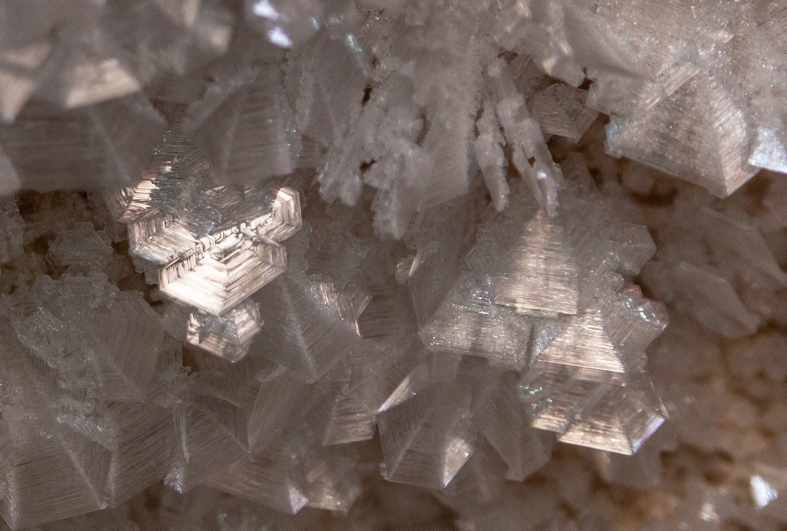 A Global Scientific Treasure (image credits: wikimedia)