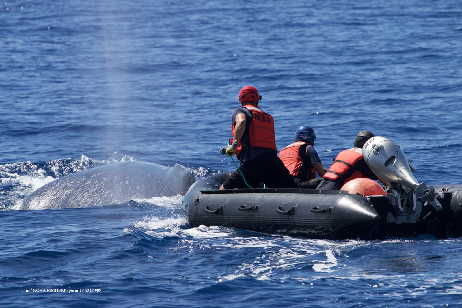 The Threats That Remain (image credits: wikimedia)