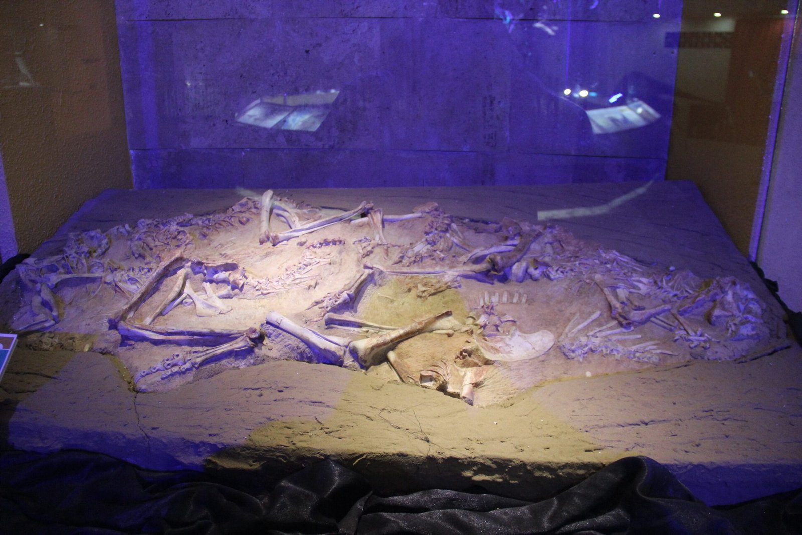 The Discovery That Changed Everything (image credits: wikimedia)