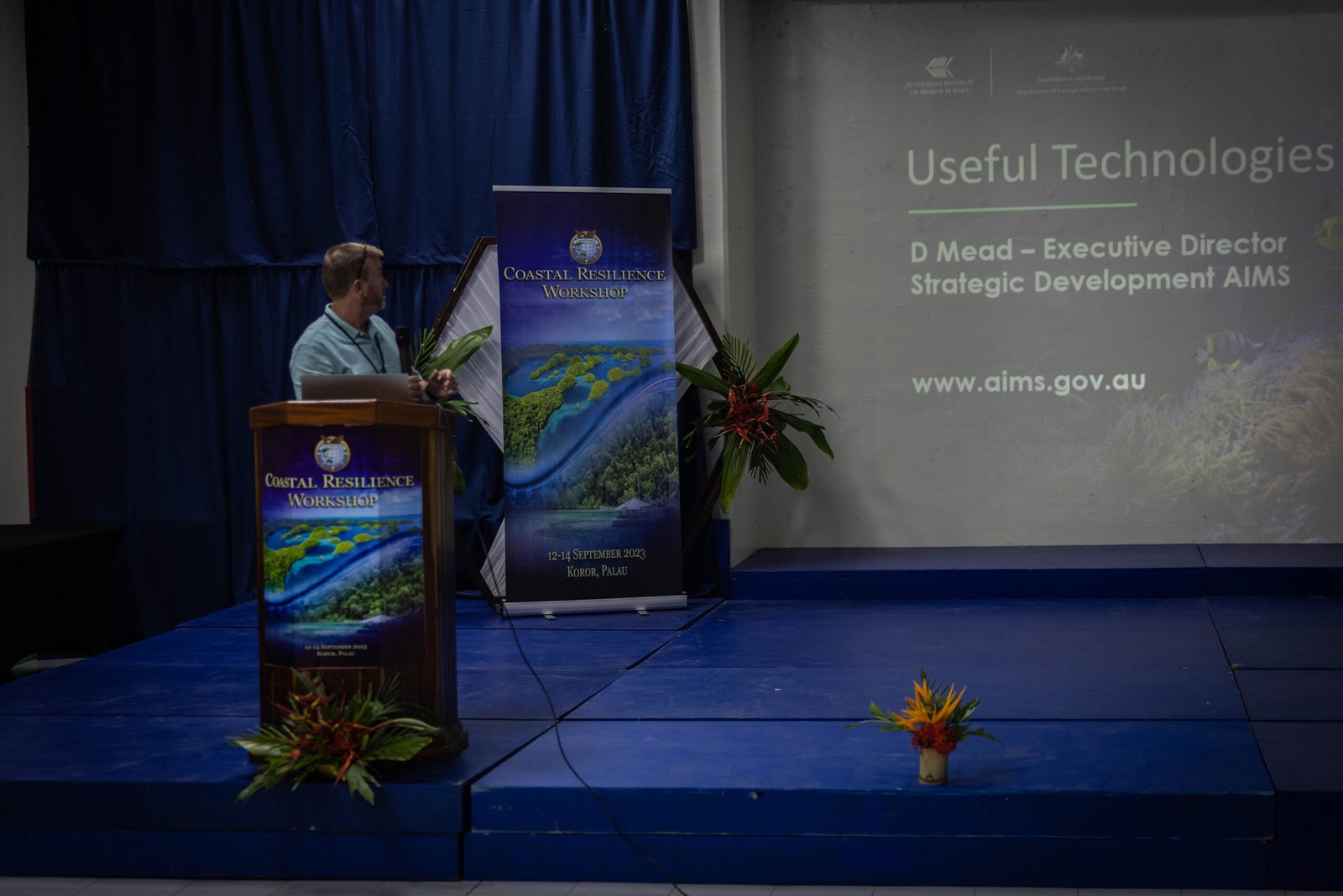 Artificial Intelligence: Analyzing Coral Health (image credits: wikimedia)