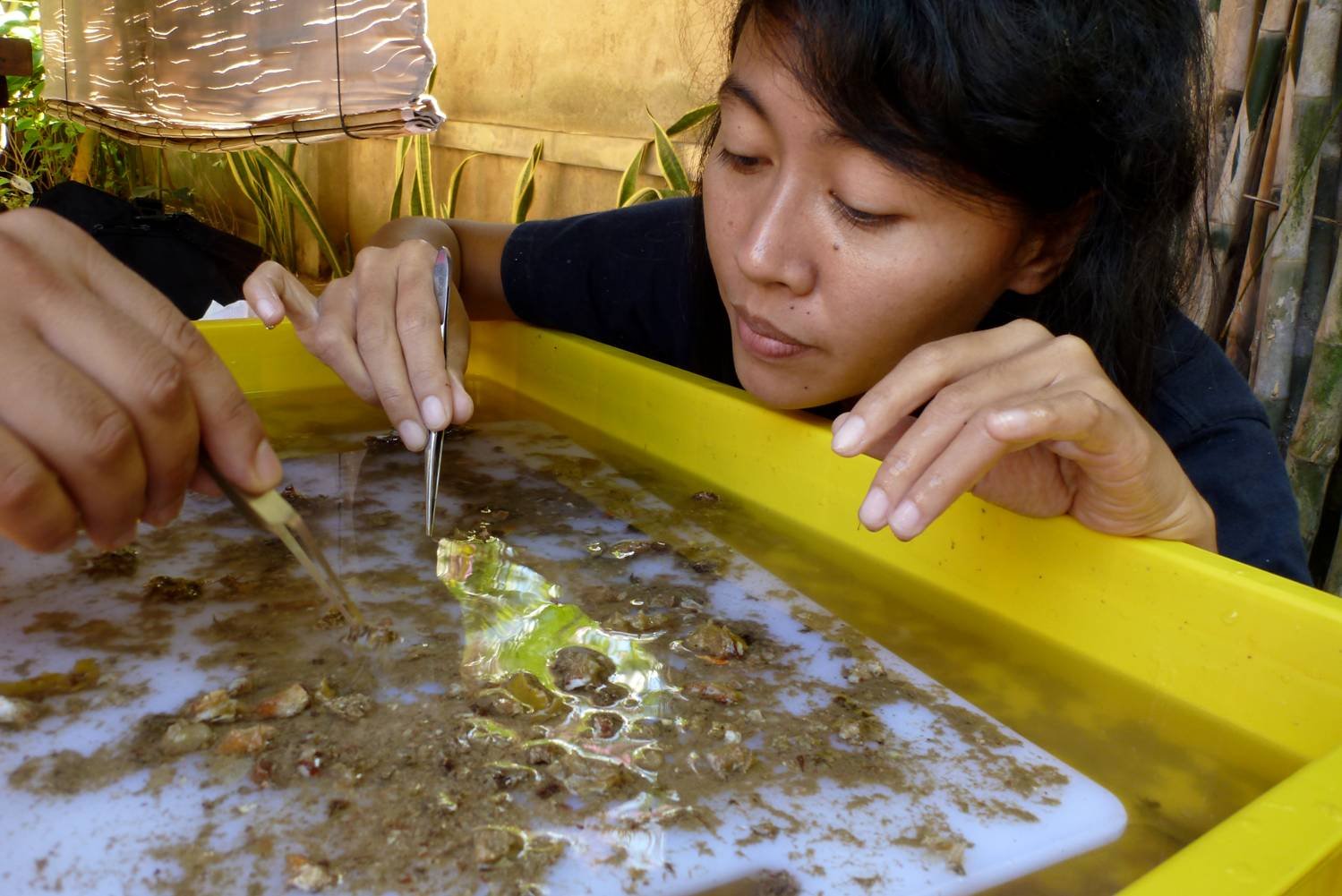 Challenges and Limitations (image credits: wikimedia)