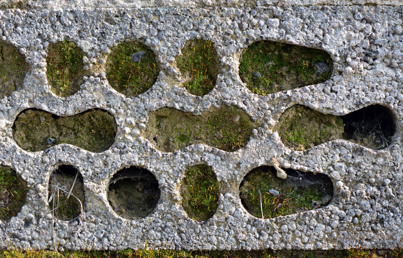 A Call to Action: Embracing Innovation and Sustainability (image credits: wikimedia)