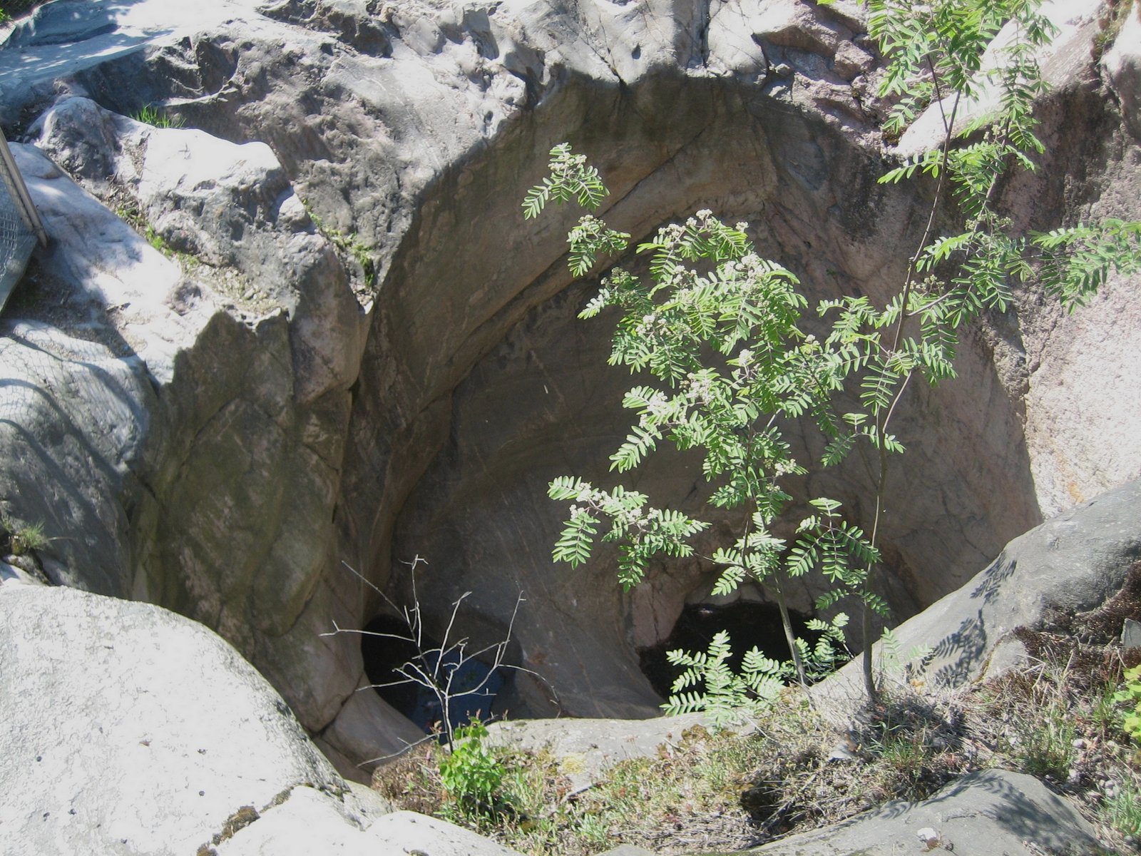 The Role of Climate Change (image credits: wikimedia)