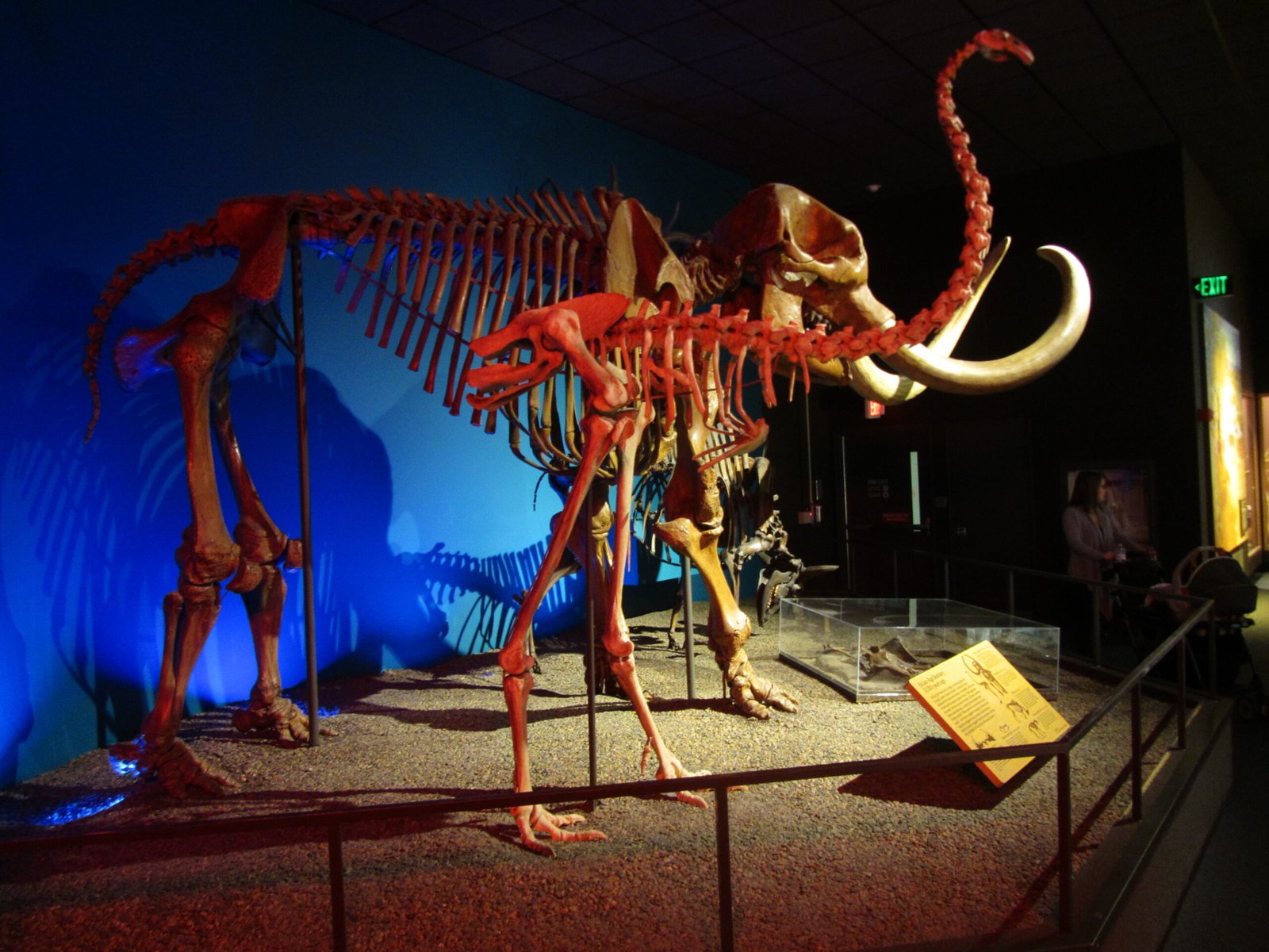 Lessons for Modern Conservation (image credits: wikimedia)