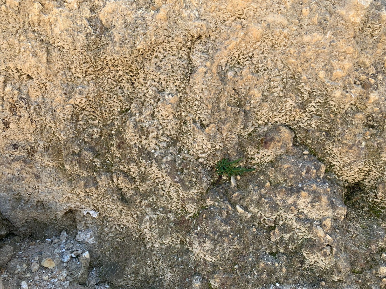 Implications for Earth's Climate History (image credits: wikimedia)