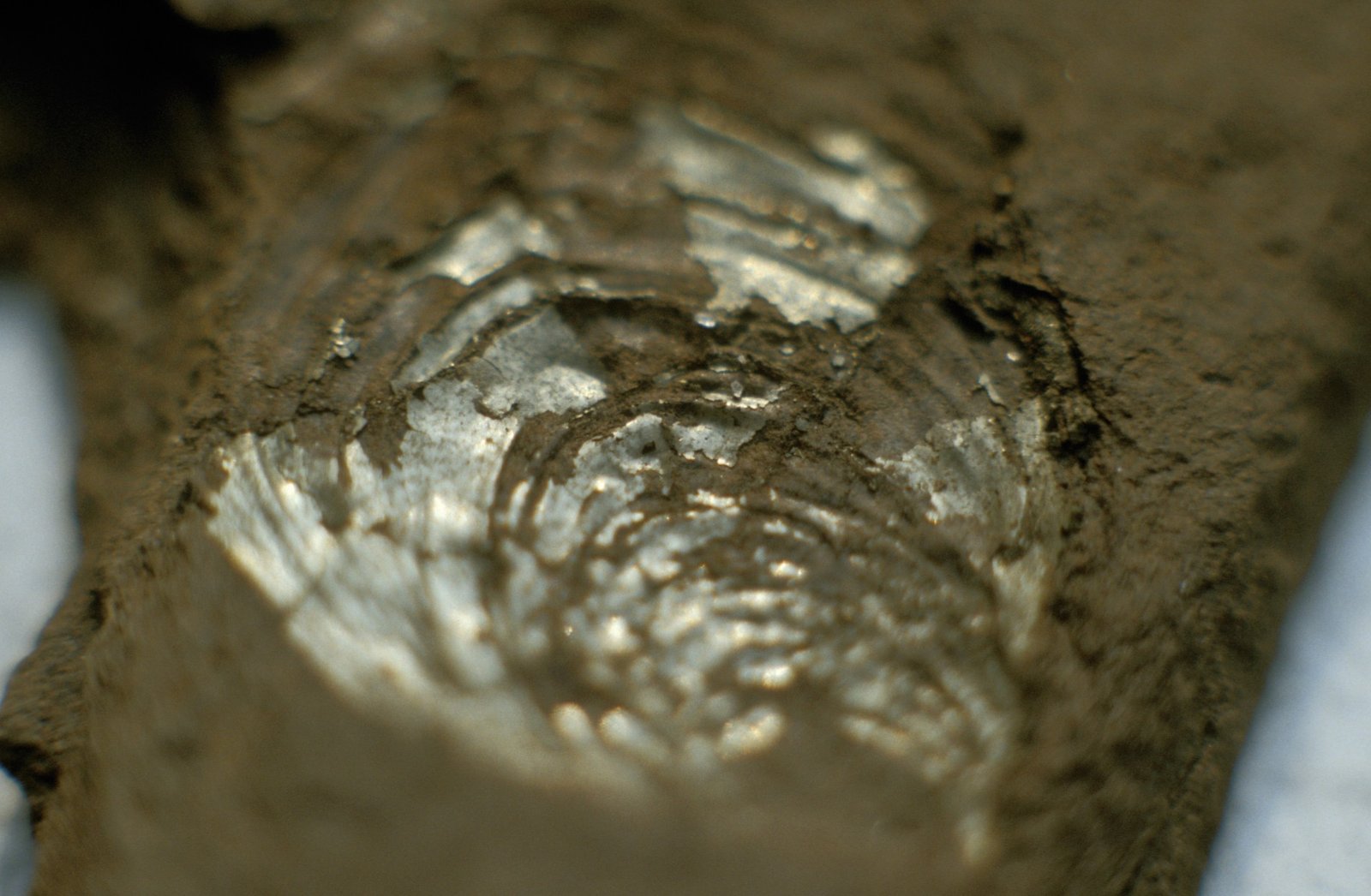 The Deepest Breath: Oxygen Found in Isolated Waters Millions of Years Old