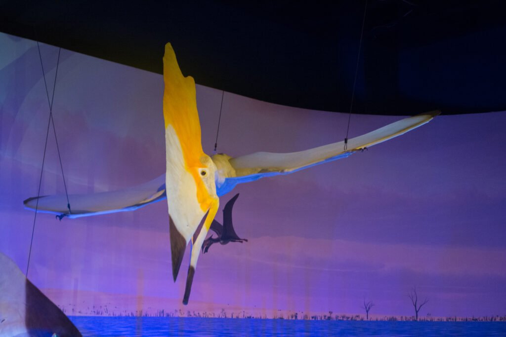 How Flight Evolved More Than Once in Dinosaurs