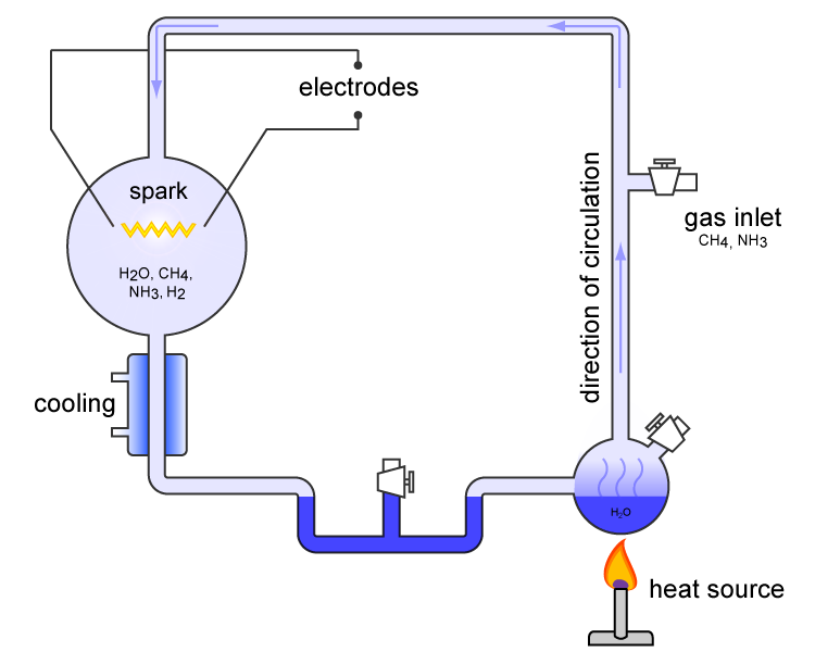 The RNA World Hypothesis (image credits: wikimedia)