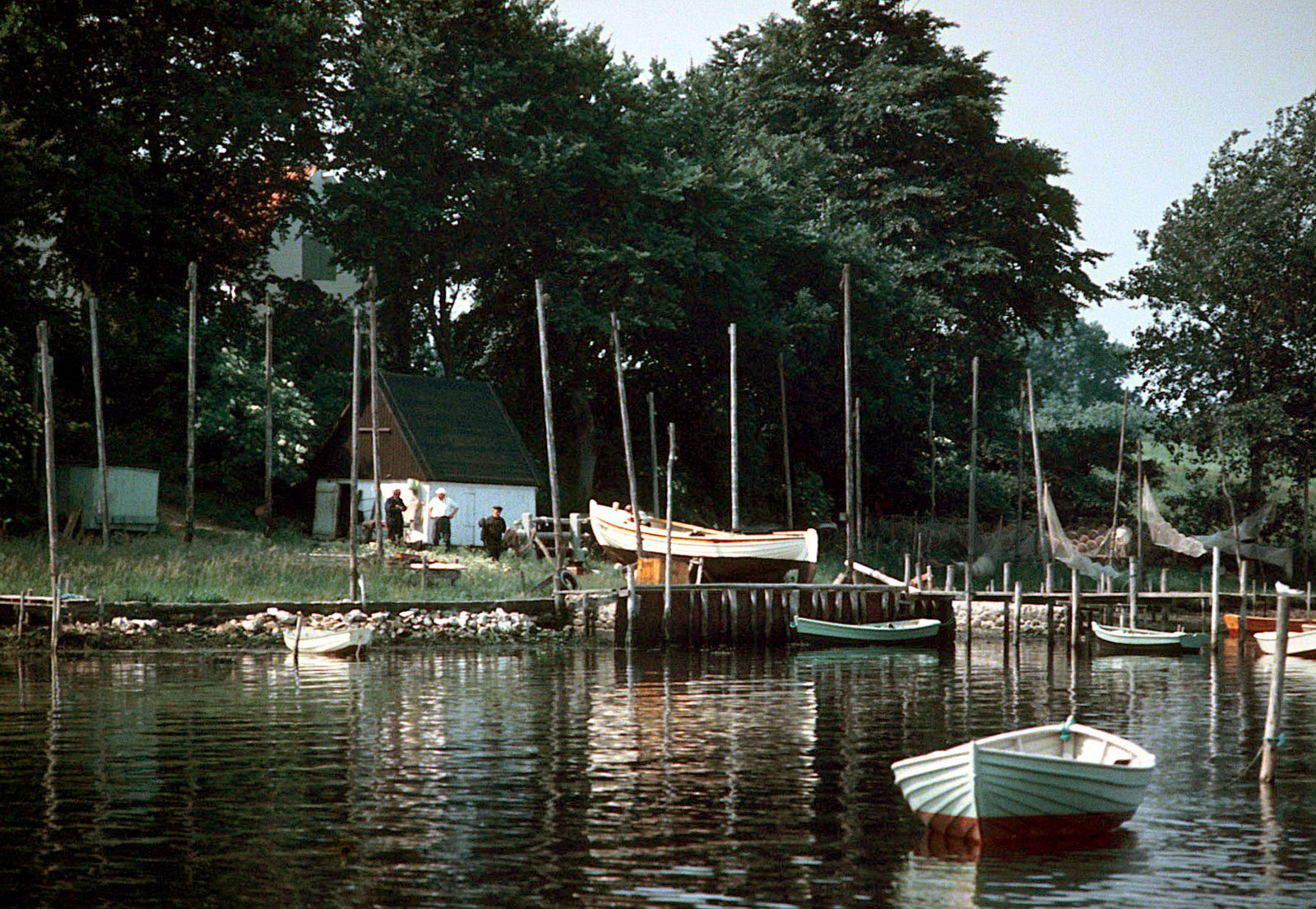 The Human Toll: Communities in Crisis (image credits: wikimedia)